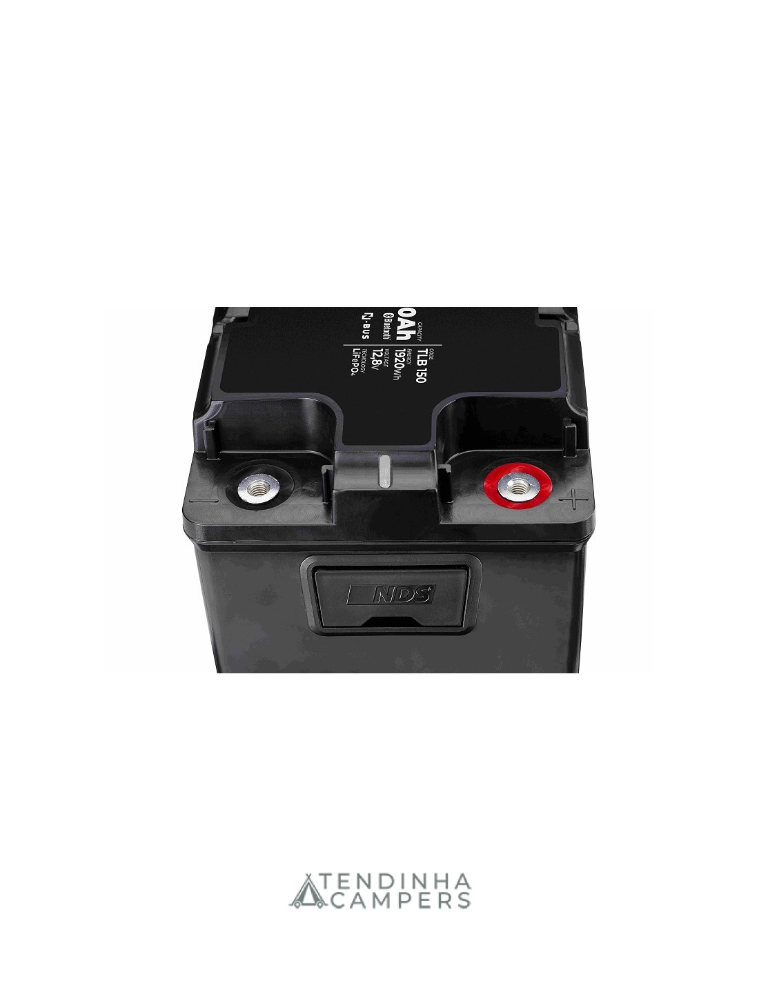 1 BATERIA DE LÍTIO LIFEPO4 NDS TEMPRA 150 - Image 1
